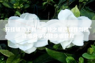 开挂辅助工具“德扑之星透视作弊挂	”详细分享装挂步骤教程