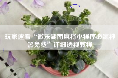玩家速看“微乐湖南麻将小程序必赢神器免费”详细透视教程