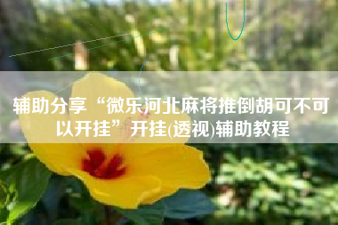 辅助分享“微乐河北麻将推倒胡可不可以开挂”开挂(透视)辅助教程