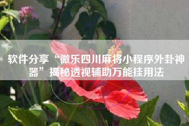 软件分享“微乐四川麻将小程序外卦神器”揭秘透视辅助万能挂用法
