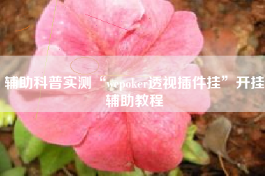辅助科普实测“wepoker透视插件挂”开挂辅助教程