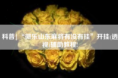 科普|“微乐山东麻将有没有挂	”开挂(透视)辅助教程!