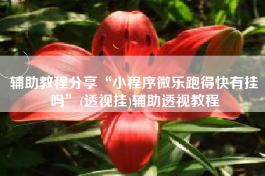 辅助教程分享“小程序微乐跑得快有挂吗”(透视挂)辅助透视教程