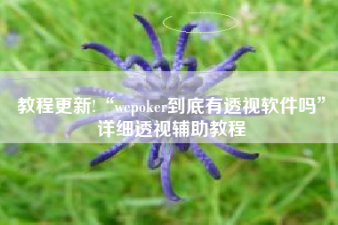 教程更新!“wepoker到底有透视软件吗”详细透视辅助教程