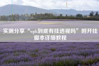 实测分享“wpk到底有挂透视吗	”附开挂脚本详细教程