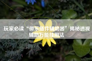 玩家必读“微乐插件辅助器”揭秘透视辅助万能挂用法