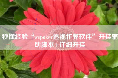 秒懂经验“wepoker透视作弊软件”开挂辅助脚本+详细开挂