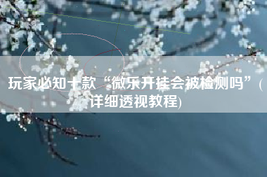 玩家必知十款“微乐开挂会被检测吗”(详细透视教程)