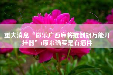 重大消息“微乐广西麻将推倒胡万能开挂器	”(原来确实是有插件