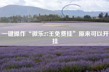 一键操作“微乐27王免费挂	”原来可以开挂