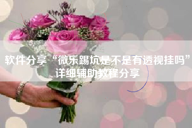 软件分享“微乐踢坑是不是有透视挂吗	”详细辅助教程分享