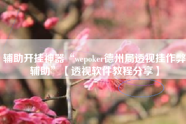辅助开挂神器“wepoker德州局透视挂作弊辅助”【透视软件教程分享】