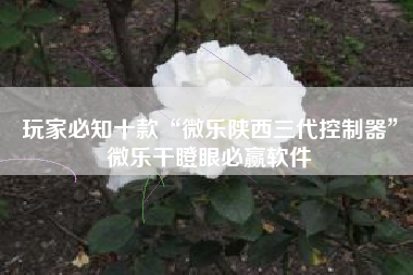 玩家必知十款“微乐陕西三代控制器	”微乐干瞪眼必赢软件