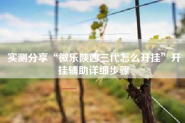 实测分享“微乐陕西三代怎么开挂”开挂辅助详细步骤