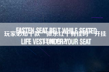 玩家必知十款“微乐红十有挂吗	”开挂详细方法