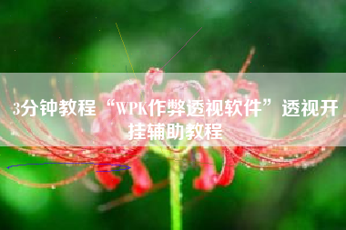3分钟教程“WPK作弊透视软件”透视开挂辅助教程