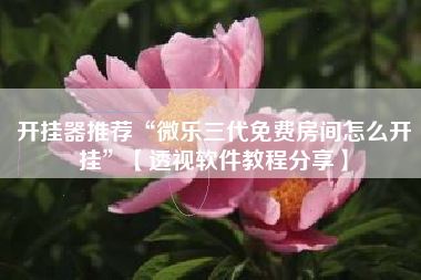 开挂器推荐“微乐三代免费房间怎么开挂”【透视软件教程分享】