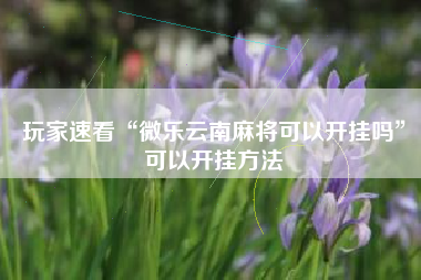 玩家速看“微乐云南麻将可以开挂吗”可以开挂方法