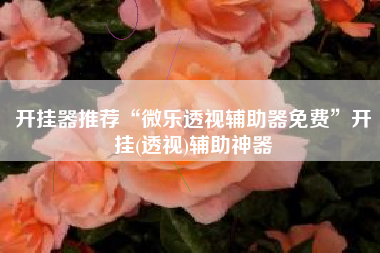 开挂器推荐“微乐透视辅助器免费	”开挂(透视)辅助神器