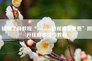 辅助工具教程“wepoker透视脚本免费	”附开挂脚本详细教程