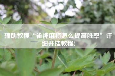辅助教程“雀神麻将怎么提高胜率”详细开挂教程!