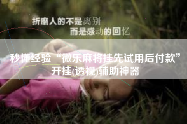 秒懂经验“微乐麻将挂先试用后付款	”开挂(透视)辅助神器