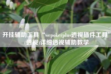 开挂辅助工具“wepokerplus透视插件工具”(透视)详细透视辅助教学