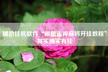 辅助挂机软件“微信雀神麻将开挂教程”其实确实有挂