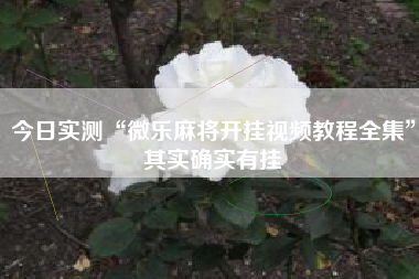 今日实测“微乐麻将开挂视频教程全集	”其实确实有挂