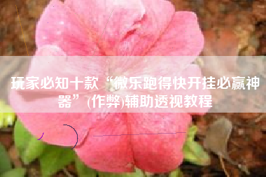 玩家必知十款“微乐跑得快开挂必赢神器”(作弊)辅助透视教程