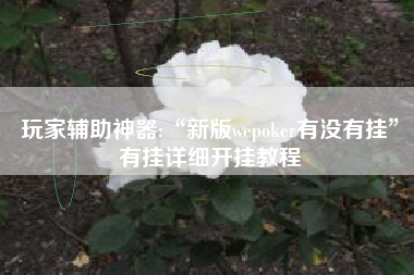 玩家辅助神器:“新版wepoker有没有挂	”有挂详细开挂教程