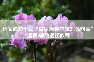 玩家必知十款“微乐麻将总输怎么回事”(透视)辅助透视教程