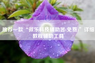 推荐一款“微乐科技辅助器(免费)”详细教程辅助工具