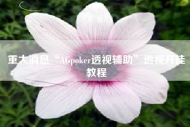 重大消息“AGpoker透视辅助”透视开挂教程