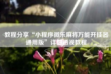 教程分享“小程序微乐麻将万能开挂器通用版	”详细透视教程