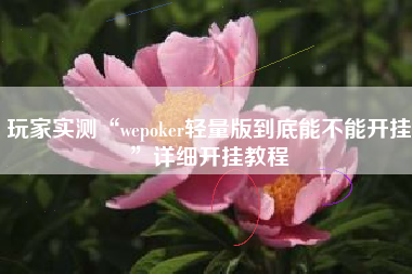 玩家实测“wepoker轻量版到底能不能开挂”详细开挂教程