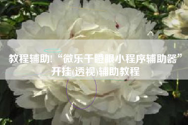 教程辅助!“微乐干瞪眼小程序辅助器”开挂(透视)辅助教程