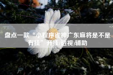 盘点一款“小程序雀神广东麻将是不是有挂	”开挂(透视)辅助