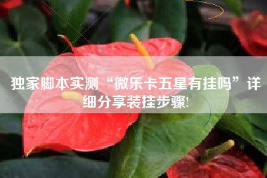 独家脚本实测“微乐卡五星有挂吗”详细分享装挂步骤!