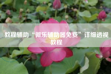 教程辅助“微乐辅助器免费”详细透视教程