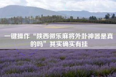 一键操作“陕西微乐麻将外卦神器是真的吗”其实确实有挂