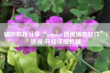 辅助教程分享“wepoker透视辅助软件”(透视)开挂详细教程