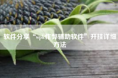 软件分享“wpk作弊辅助软件”开挂详细方法