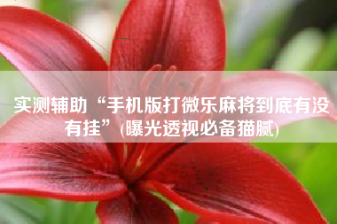 实测辅助“手机版打微乐麻将到底有没有挂	”(曝光透视必备猫腻)