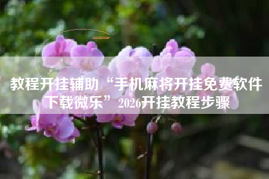 教程开挂辅助“手机麻将开挂免费软件下载微乐	”2026开挂教程步骤