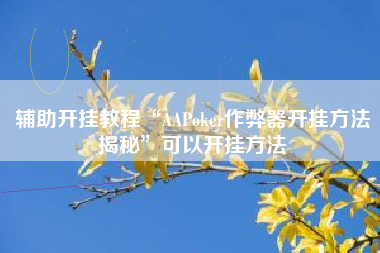 辅助开挂教程“AAPoker作弊器开挂方法揭秘	”可以开挂方法