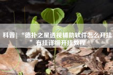 科普|“德扑之星透视辅助软件怎么开挂”有挂详细开挂教程