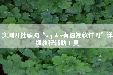 实测开挂辅助“wepoker有透视软件吗”详细教程辅助工具
