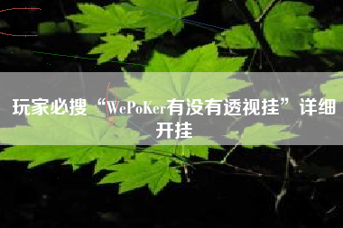 玩家必搜“WePoKer有没有透视挂	”详细开挂