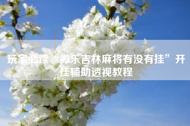 玩家必读“微乐吉林麻将有没有挂	”开挂辅助透视教程